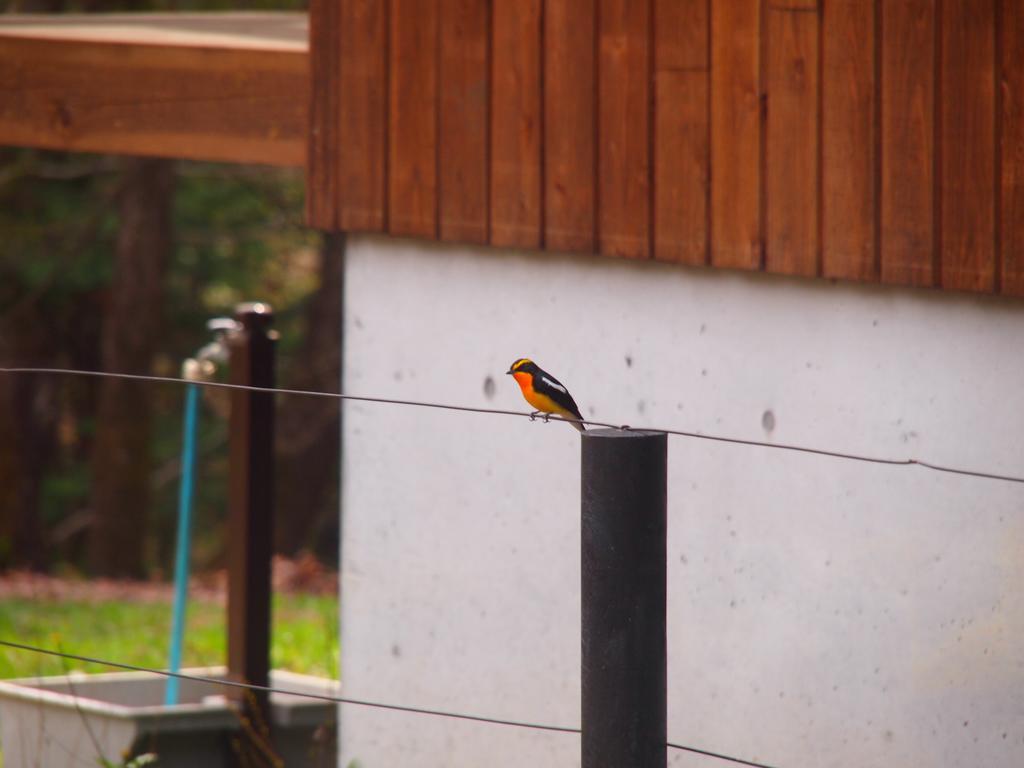 Koya Backpackers Hotell Karuizawa Eksteriør bilde